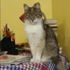 Отзыв от Надежда Бочарова